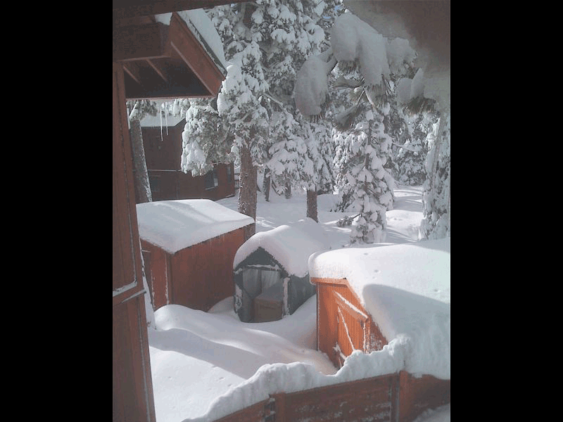 Rhino Shelter | 5'Wx10'Lx8'H Storage Shed