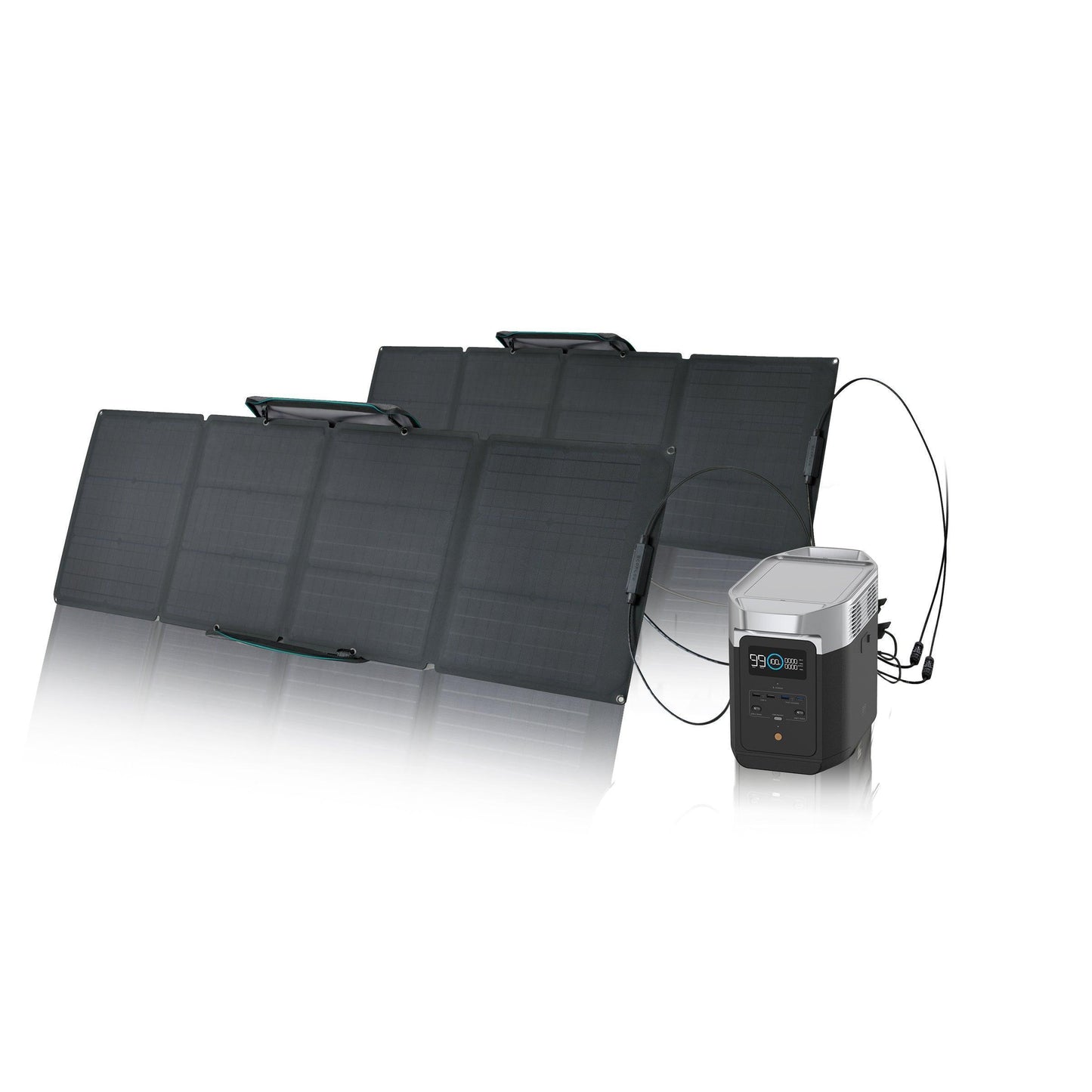 EcoFlow DELTA 2 + 110W Solar Panel