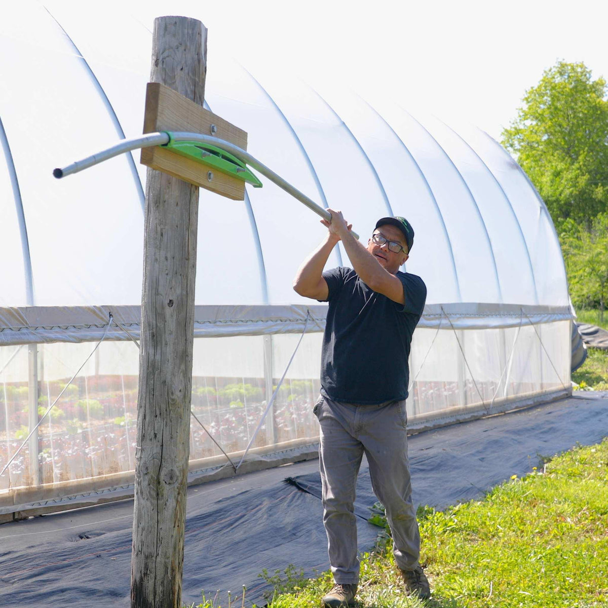 Bootstrap Farmer DIY Gothic Greenhouse Kit