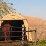 Rhino Shelter | 14’W x 24’L x 10’H Instant Garage – (Round Style)