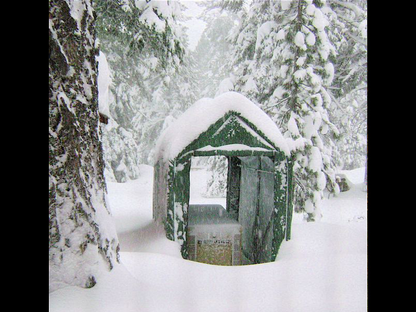 Rhino Shelter | 5'Wx10'Lx8'H Storage Shed