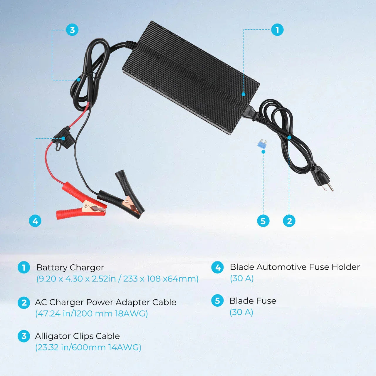 Renogy 12V 20A/24V 10A AC-to-DC LFP Portable Battery Charger