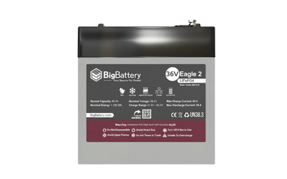 BigBattery 36V EAGLE 2 1.63 kWh LiFePO4 Battery with Heater and Comms
