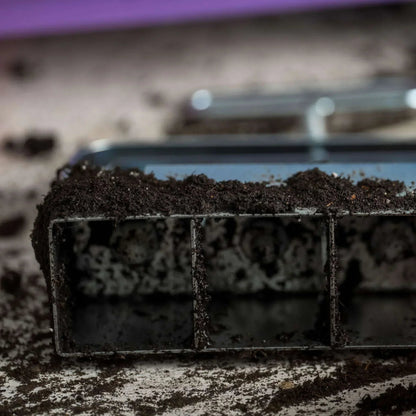 Bootstrap Farmer Soil Blocking Starter Kit