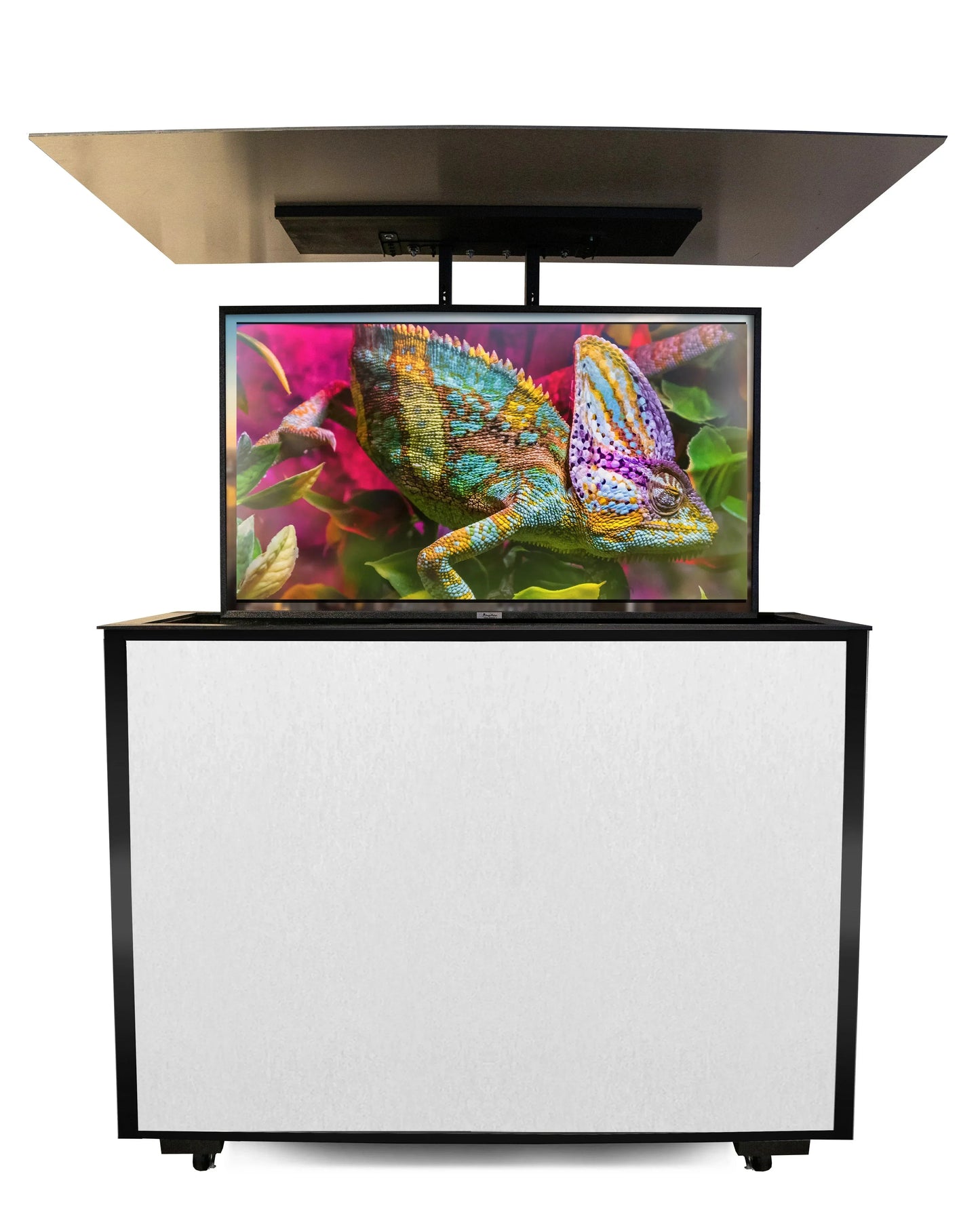 MirageVision 55" Outdoor TV Premium Lift Cabinet