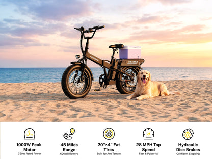 HeyBike Mars 2.5