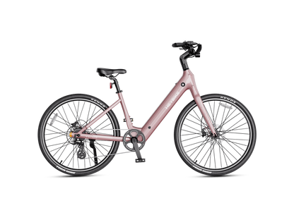 Heybike Venus