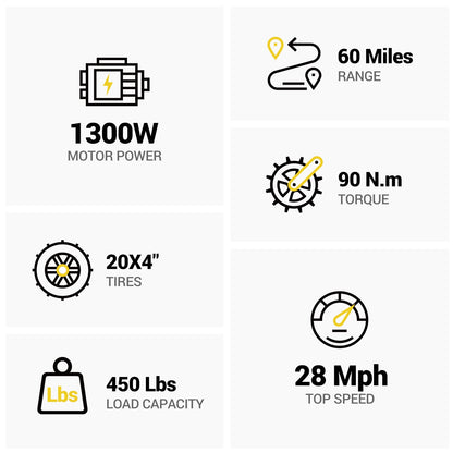 HOVSCO HovBeta 20" Foldable Fat Tire Electric Bike