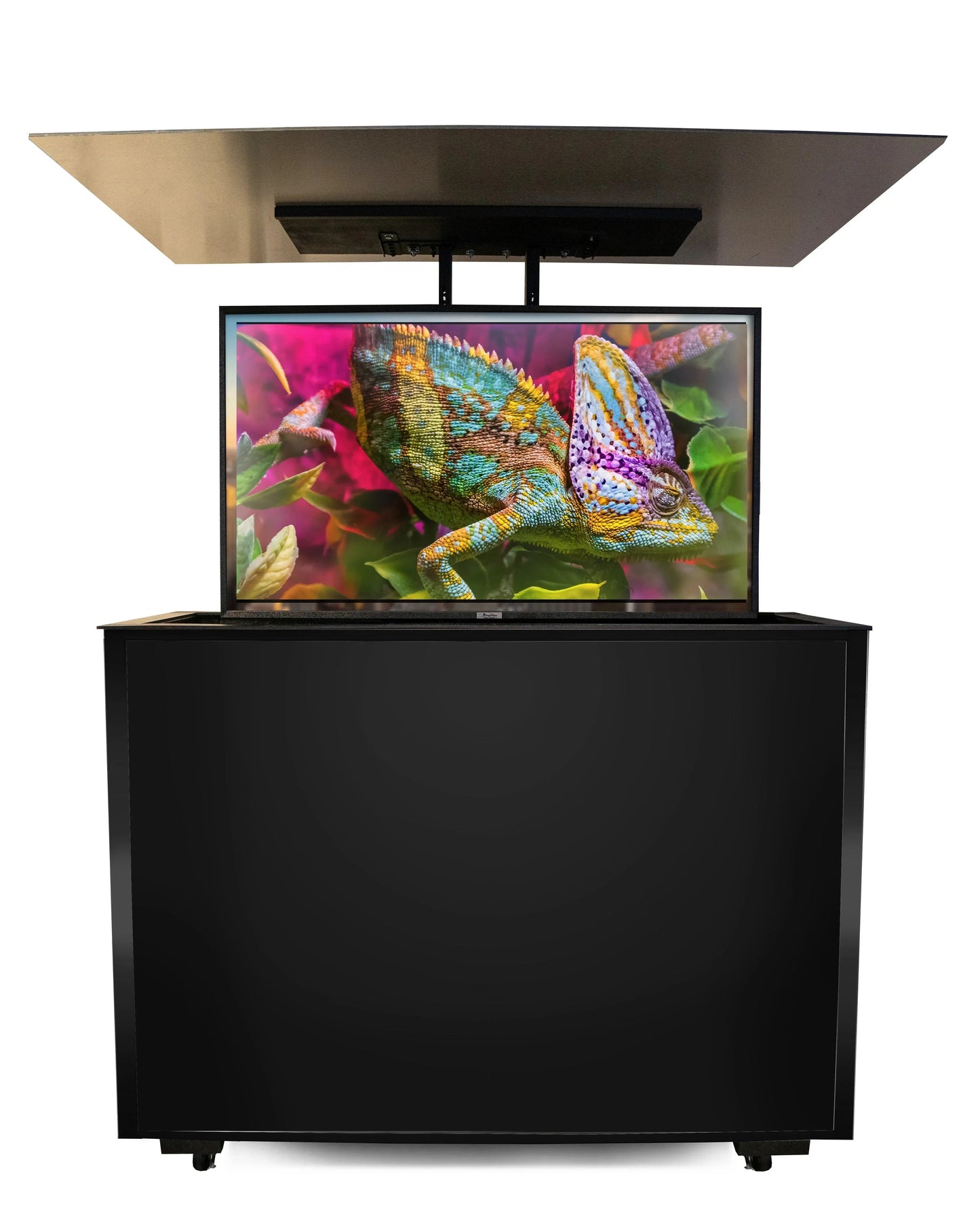 MirageVision 55" Outdoor TV Premium Lift Cabinet