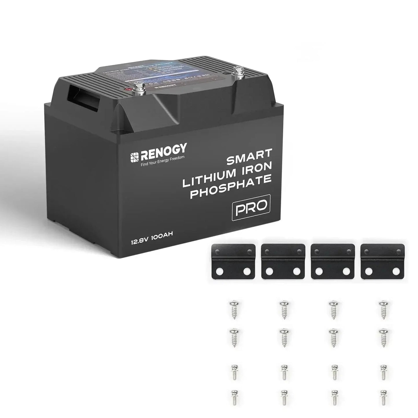 Renogy Pro - 12V 100Ah/200Ah Smart LiFePO4 Battery w/ Bluetooth & Self-Heating