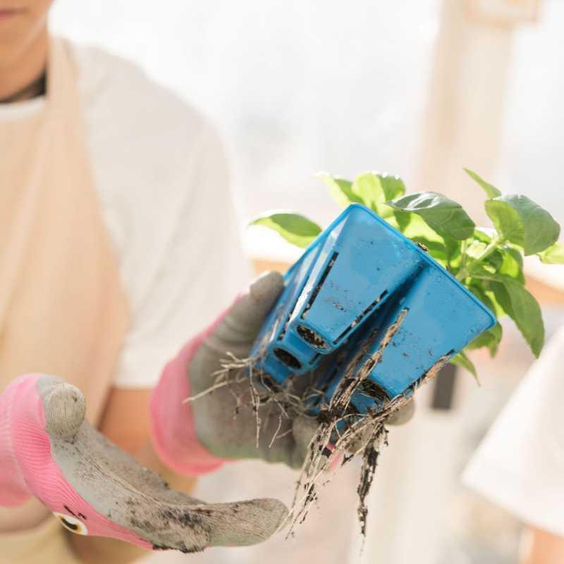 Bootstrap Farmer Classroom Seed Starting Bundle