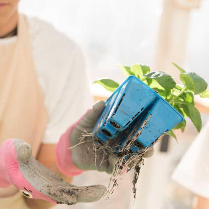 Bootstrap Farmer Classroom Seed Starting Bundle