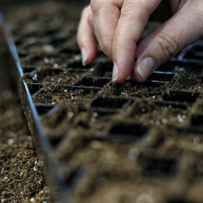 Bootstrap Farmer The Market Gardener Seed Starting Bundle