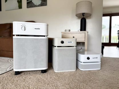 Austin Air Systems Healthmate