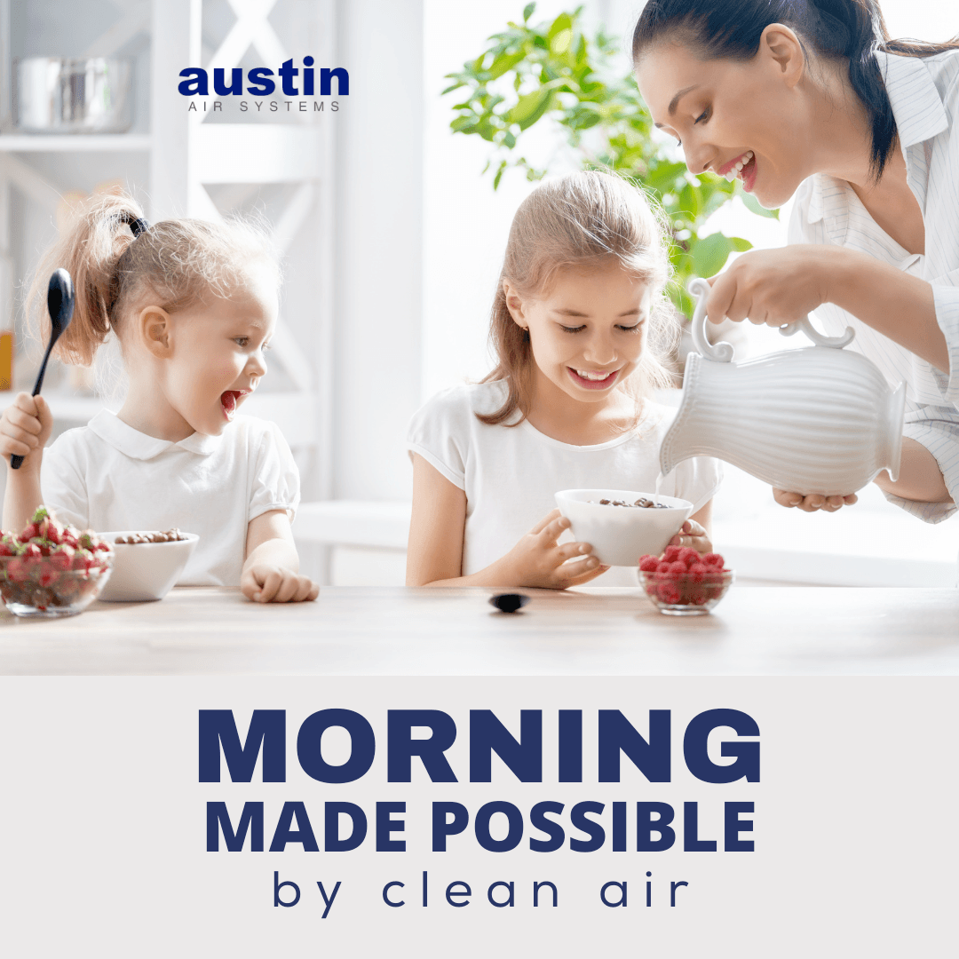 Austin Air Systems Bedroom Machine