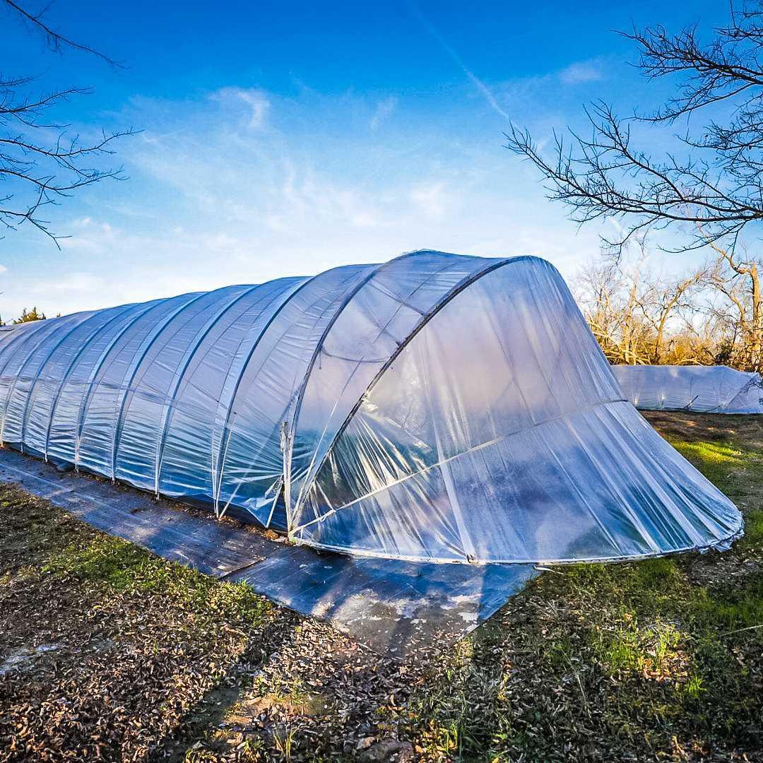 Bootstrap Farmer All-Metal Caterpillar Tunnel Kit