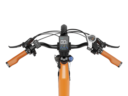Heybike Cityrun