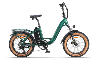 Cyrusher Luxe Fat Tire Electric Bike
