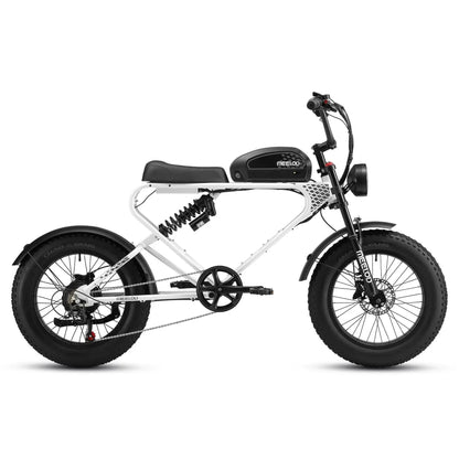 MEELOD DK300 PLUS | 1200W Motor, 50-100 Miles Range
