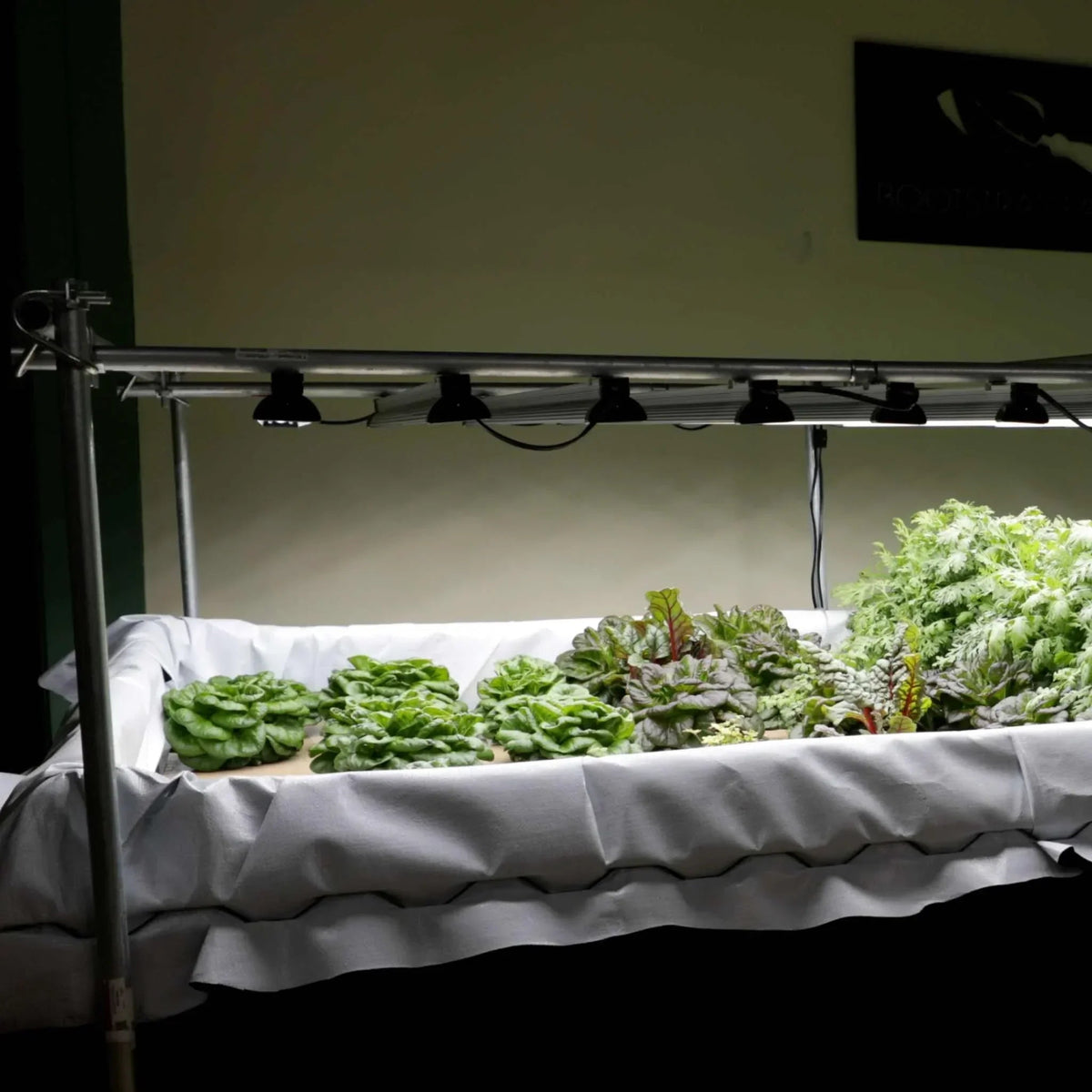 Bootstrap Farmer Deep Water Culture (DWC) Kit