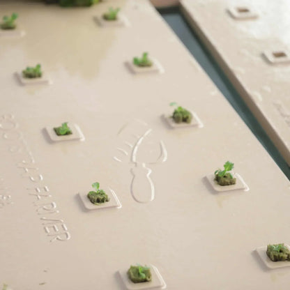 Bootstrap Farmer Deep Water Greens Raft