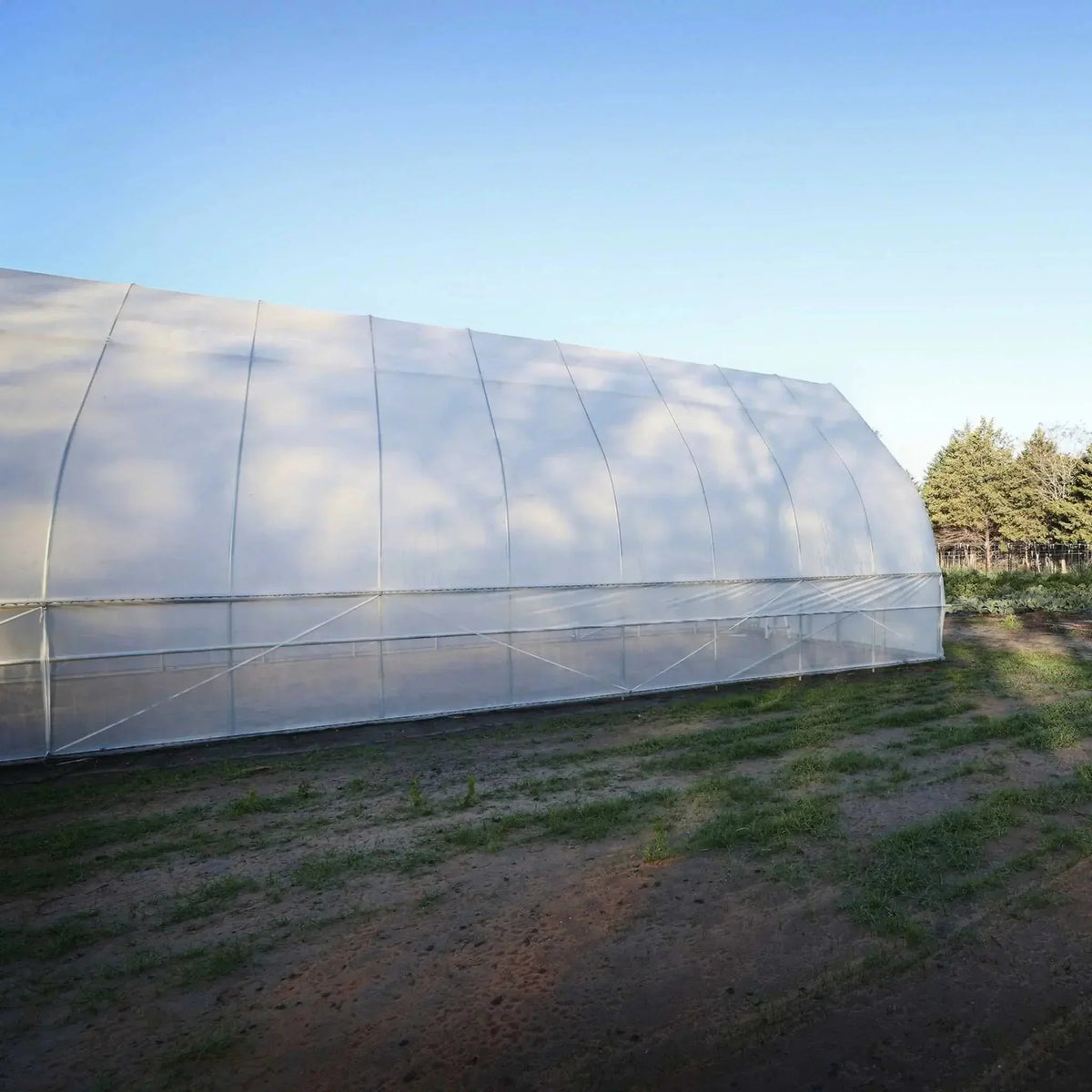 Bootstrap Farmer Gothic All-Metal Hoop House Kit