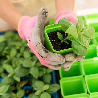 Bootstrap Farmer Classroom Seed Starting Bundle