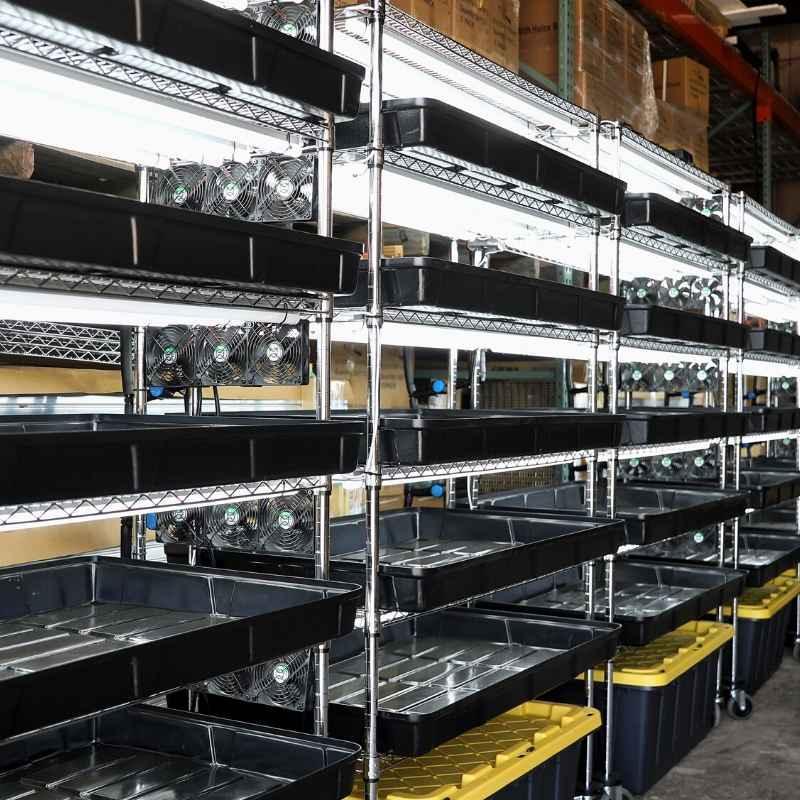 Bootstrap Farmer Grow Rack - Automated Vertical Propagation Rack