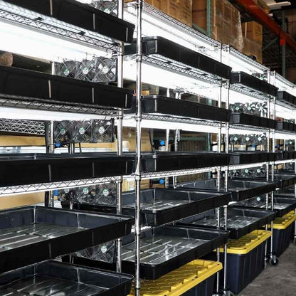 Bootstrap Farmer Grow Rack - Automated Vertical Propagation Rack