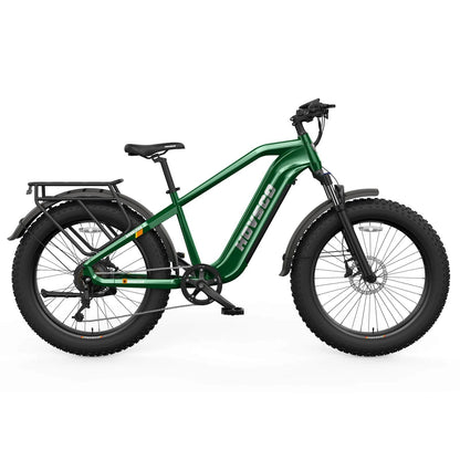 HOVSCO HovAlpha 26" Fat Tire Electric Bike