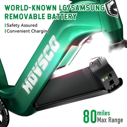 HOVSCO HovAlpha 26" Fat Tire Electric Bike