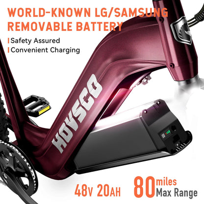 HOVSCO HovAlpha 26" Step-Thru Fat Tire Ebike