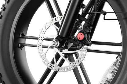 HOVSCO HovBeta 20" Foldable Fat Tire Electric Bike