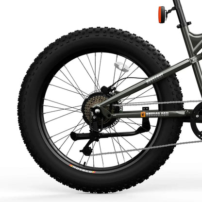 HOVSCO HovScout 26" Full Suspension Fat Tire Ebike