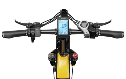 Heybike Horizon-Combo