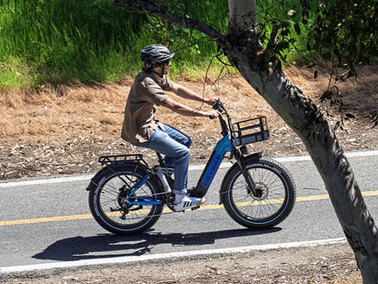 Heybike Horizon