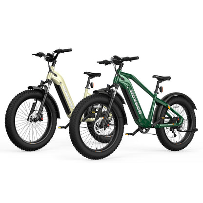 HOVSCO HovAlpha 26" Step-Thru Fat Tire Ebike