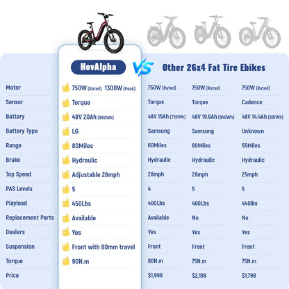 HOVSCO HovAlpha 26" Fat Tire Electric Bike