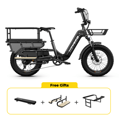 HOVSCO HovCart 20“ Step-Thru Electric Fat Tire Cargo Bike