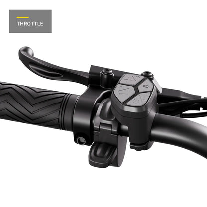 HOVSCO HovGtrs 1500W Moped-style Electric Bike