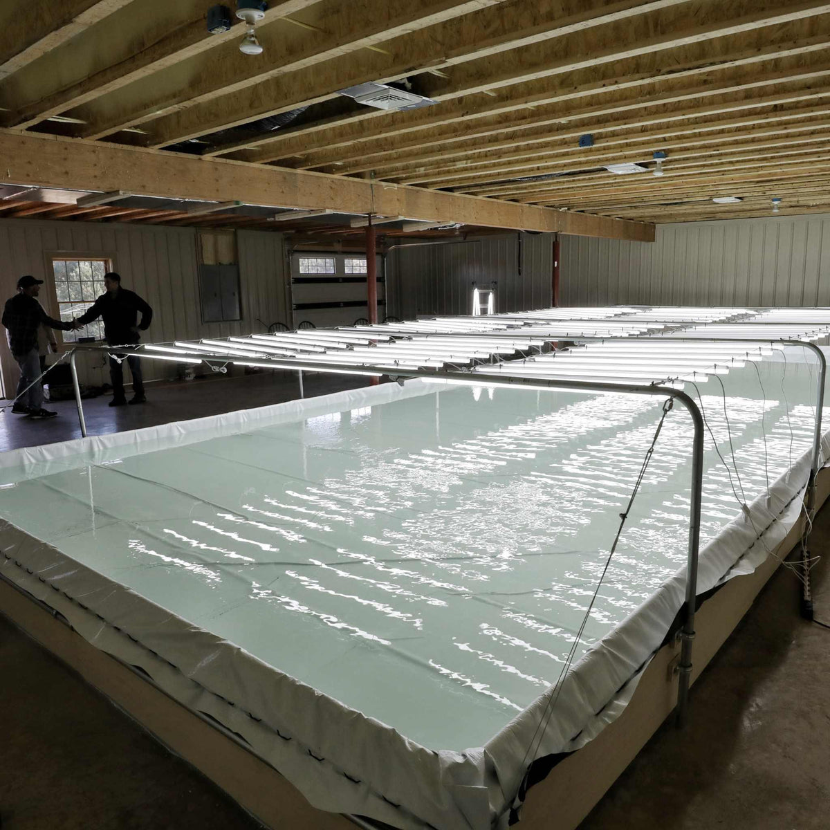 Bootstrap Farmer Deep Water Culture (DWC) Kit