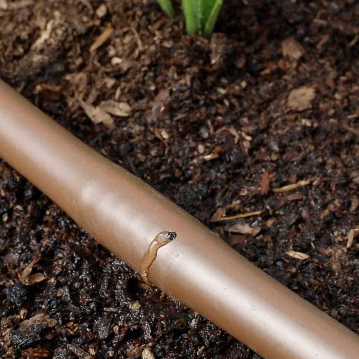Bootstrap Farmer Greenhouse Drip Irrigation Kit