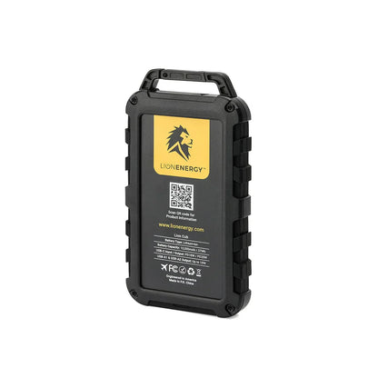 Lion Energy Power Bank Bundle