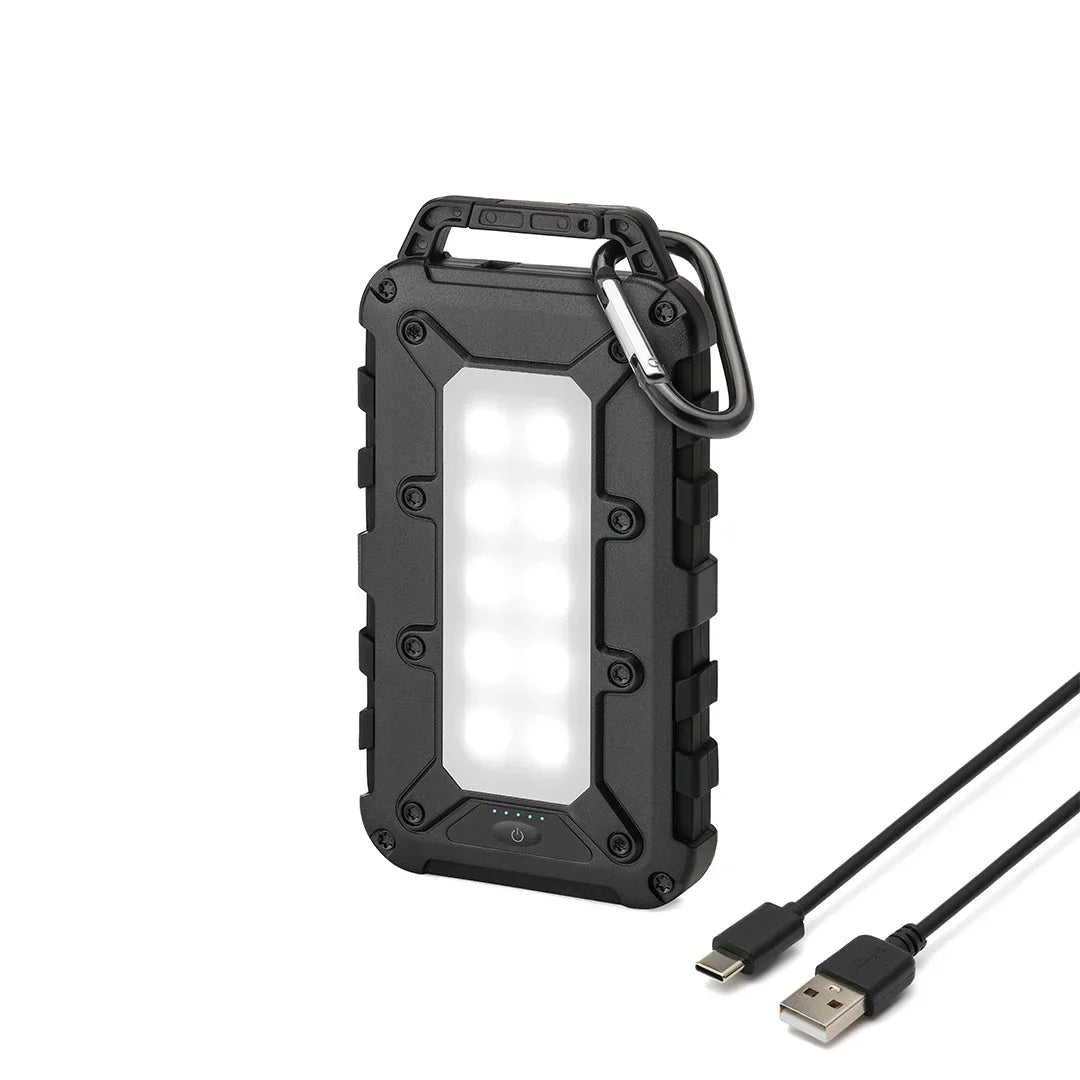 Lion Energy Power Bank Bundle