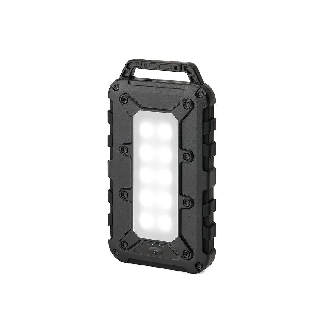 Lion Energy Power Bank Bundle