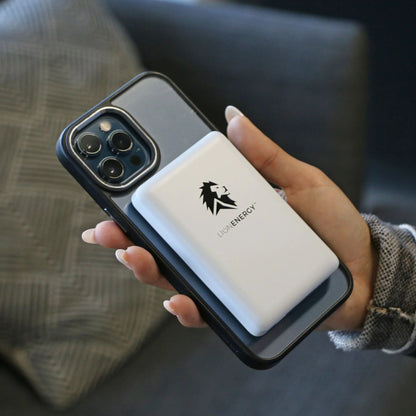 Lion Energy Power Bank Bundle