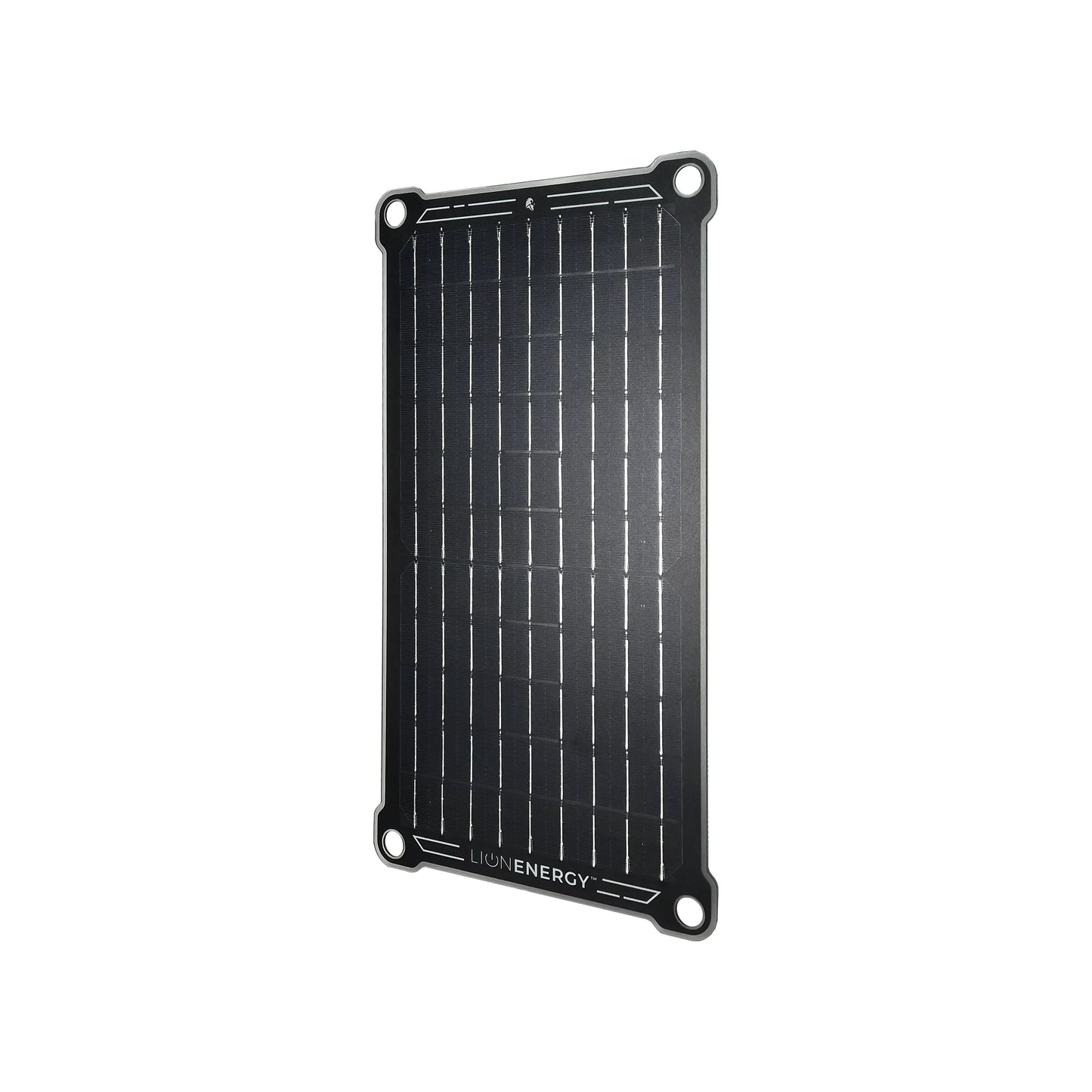 Lion Energy 10W 6V Solar Panel (USB-A)