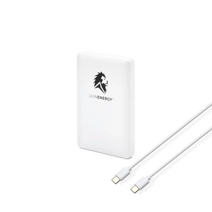 Lion Energy Power Bank Bundle