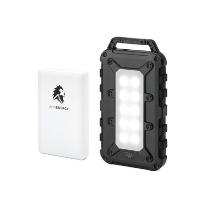 Lion Energy Power Bank Bundle