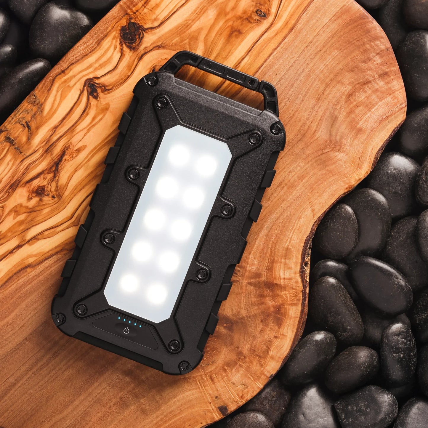 Lion Energy Power Bank Bundle